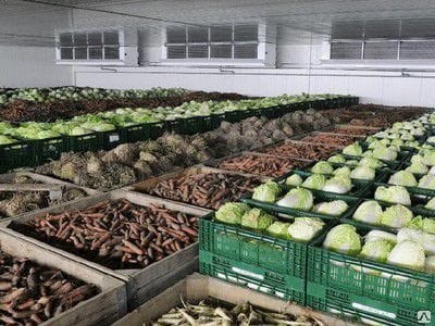 Овощной склад