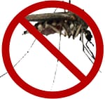 Борьба с комарами