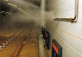 туманообразование птицефабрик